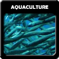 Aquaculture