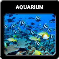 Aquarium