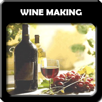 Wine Making